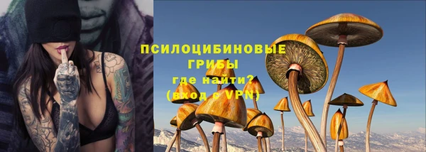 прущая мука Краснослободск