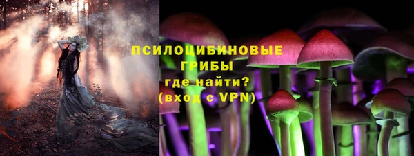 прущая мука Краснослободск