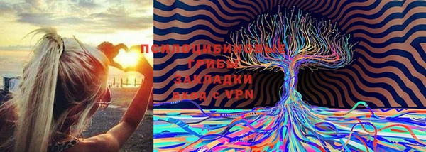 прущая мука Краснослободск